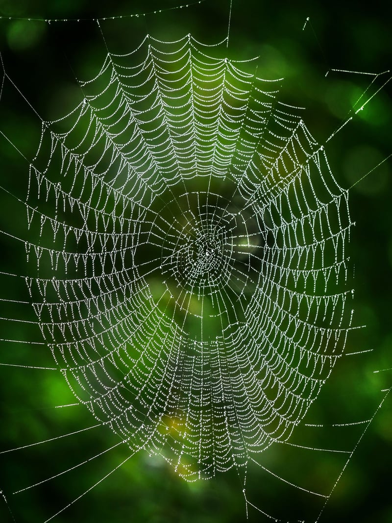 Intricate Patterns
