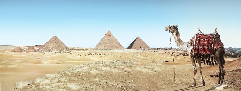 Curse of the Pharaohs